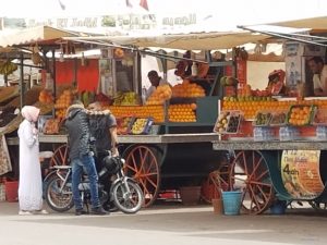 Oranges are plentiful and delicious in Morocco!